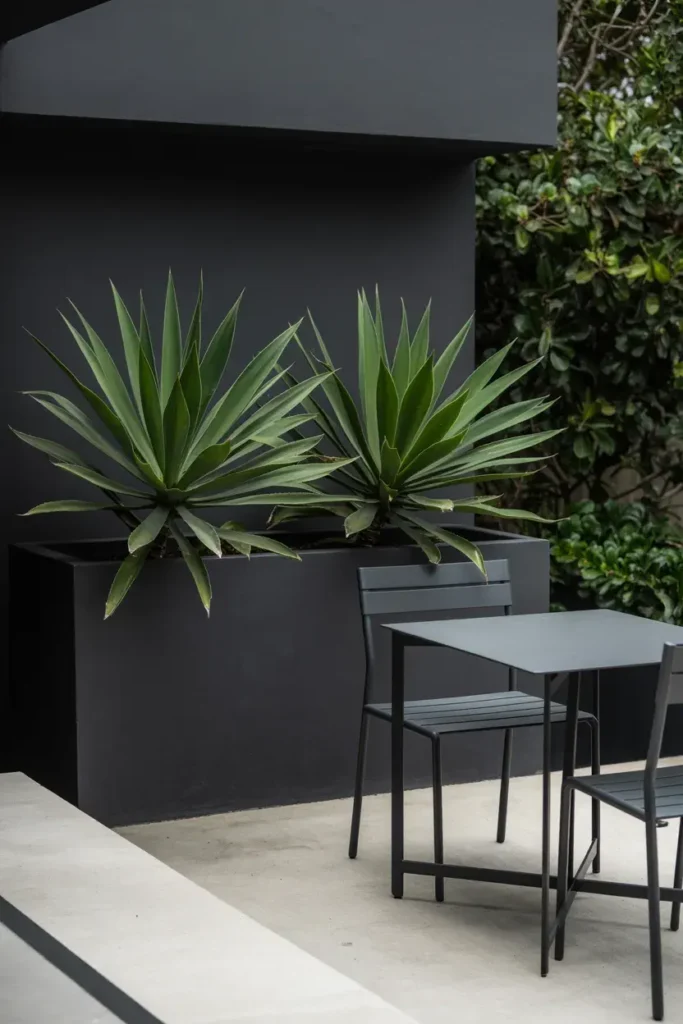 Minimalist Black Planters
