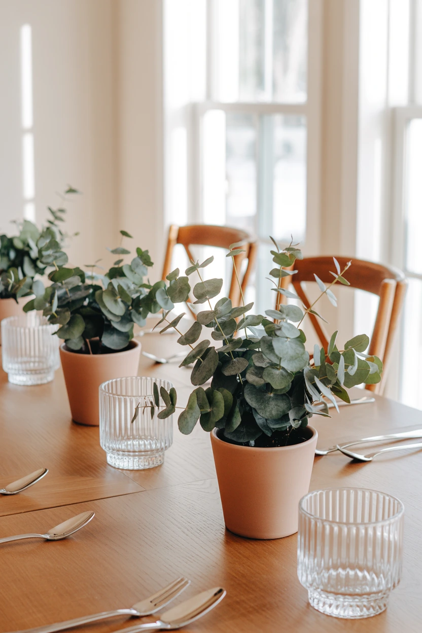 potted eucalyptus table decor