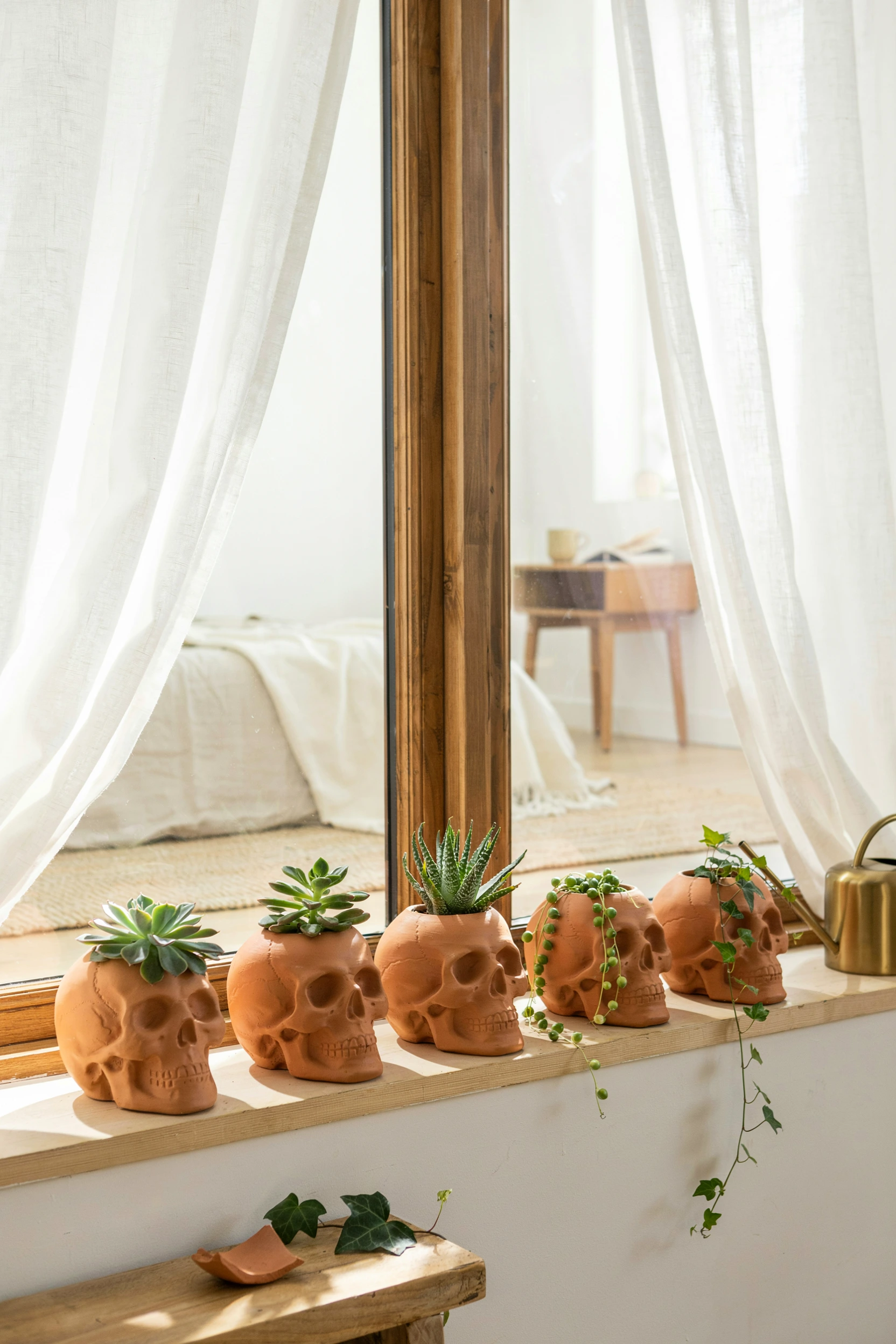 terracotta skull planters