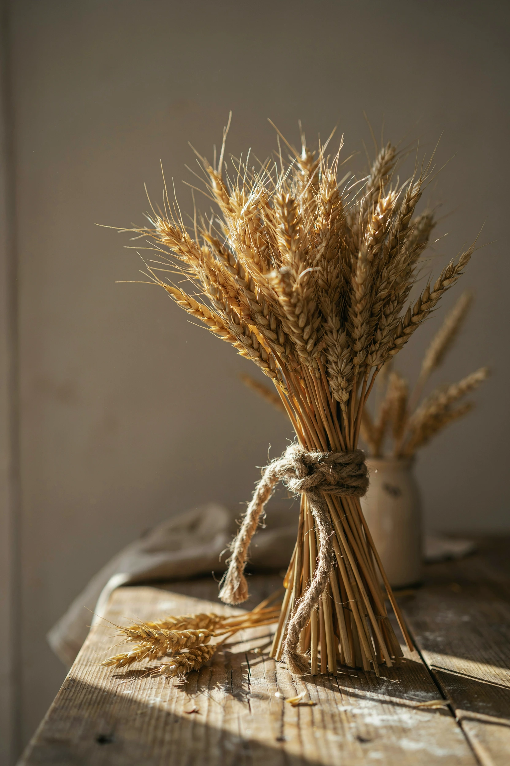 dried wheat sheaf bundles