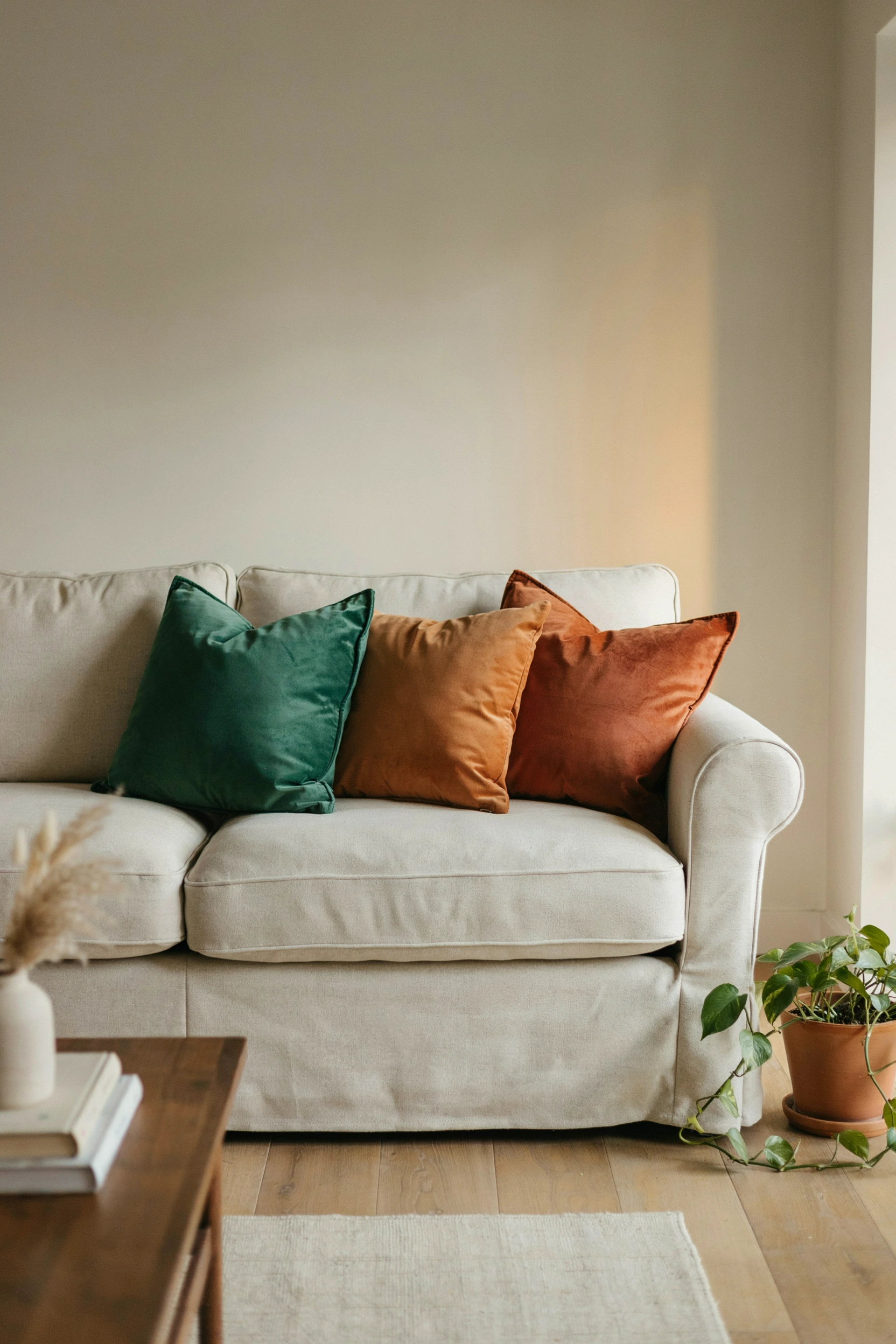 velvet accent cushions
